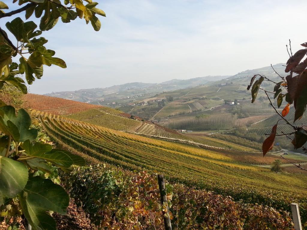 Villa Barbero Alba Langhe Mango Eksteriør billede